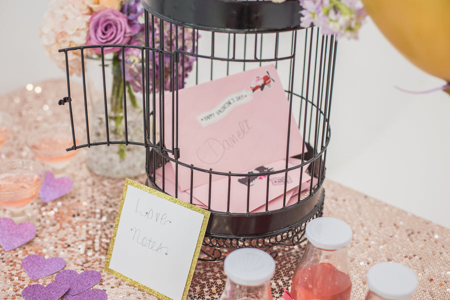 Love Notes in Bird Cage  | Tutu Cute Valentine's Day Birthday Party | Stephanie Massaro Photography