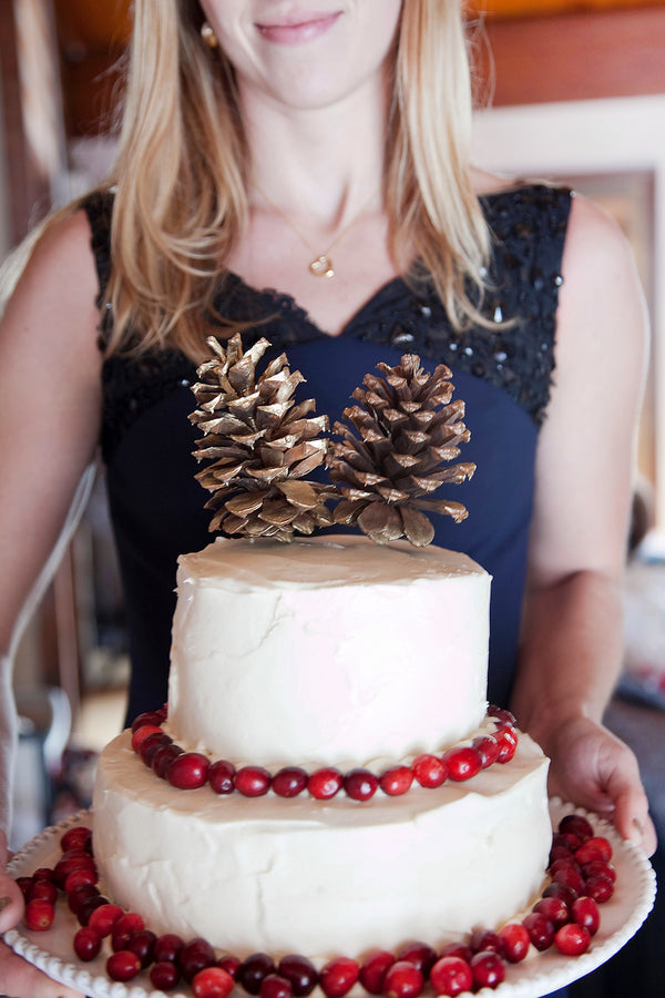 Rustic Winter Wedding Cake | Tana Photography | IDoWED McCall