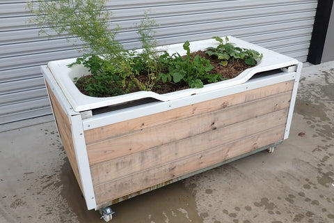 Bath Tub Gardens