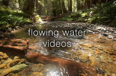 Flowing Water Videos - Collection