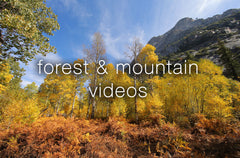 Forest and Mountain Videos - Collection