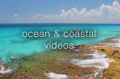 Ocean Relaxation Videos - Collection