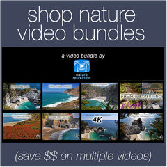 Shop Nature Video Bundles