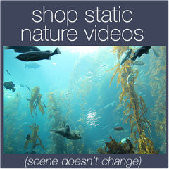Shop Static Nature Relaxation Videos