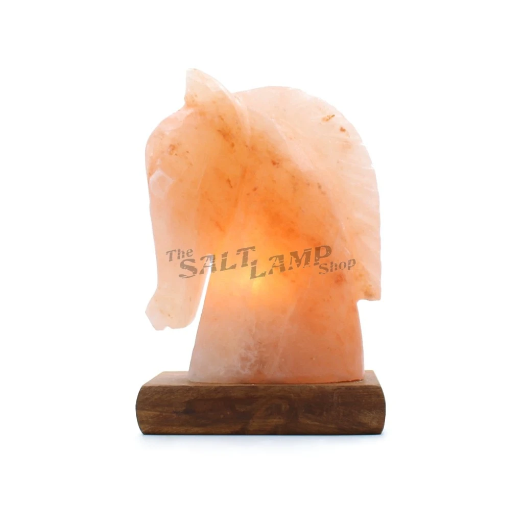 himalayan salt lamp horse