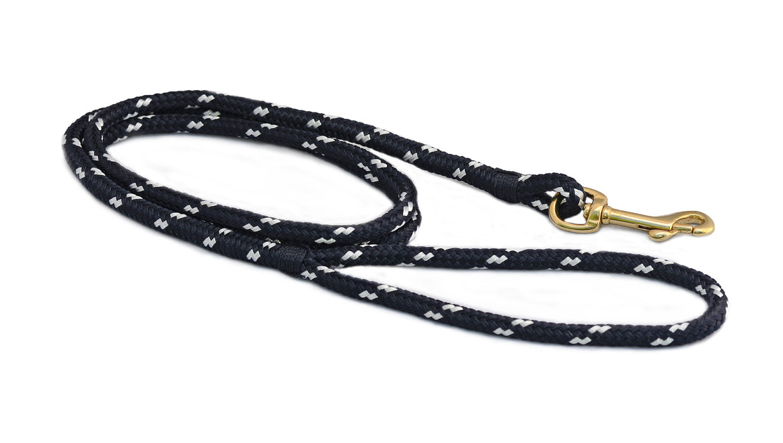 small dog leash