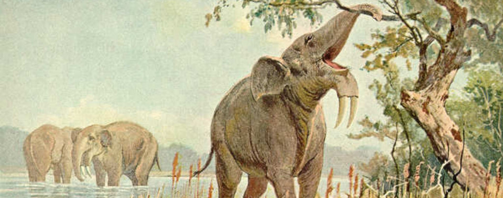 Deinotherium