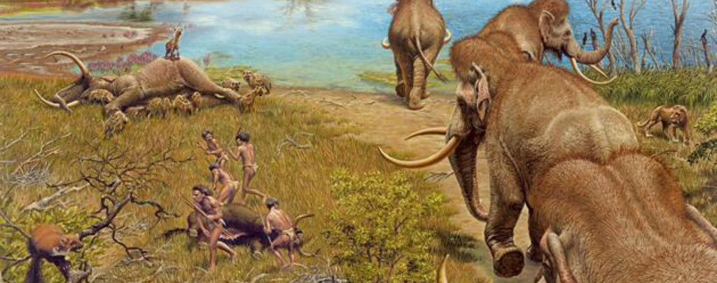 Origine de l'éléphant d'Asie