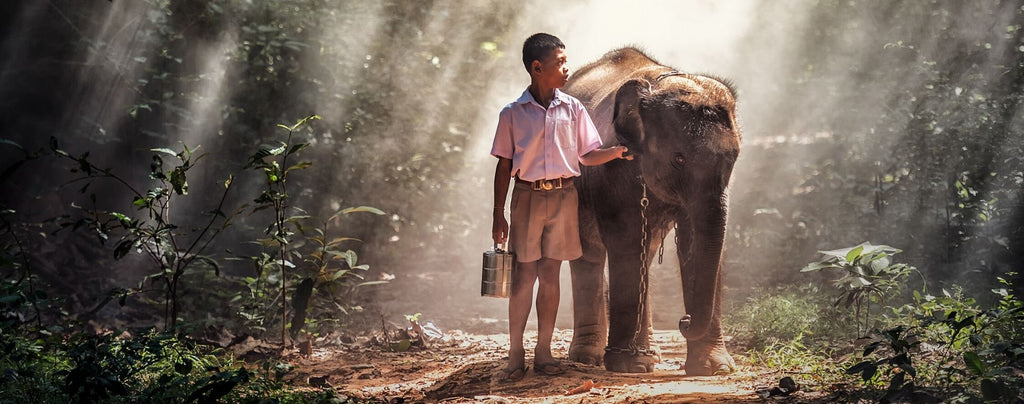 Rêver d'un bébé éléphant