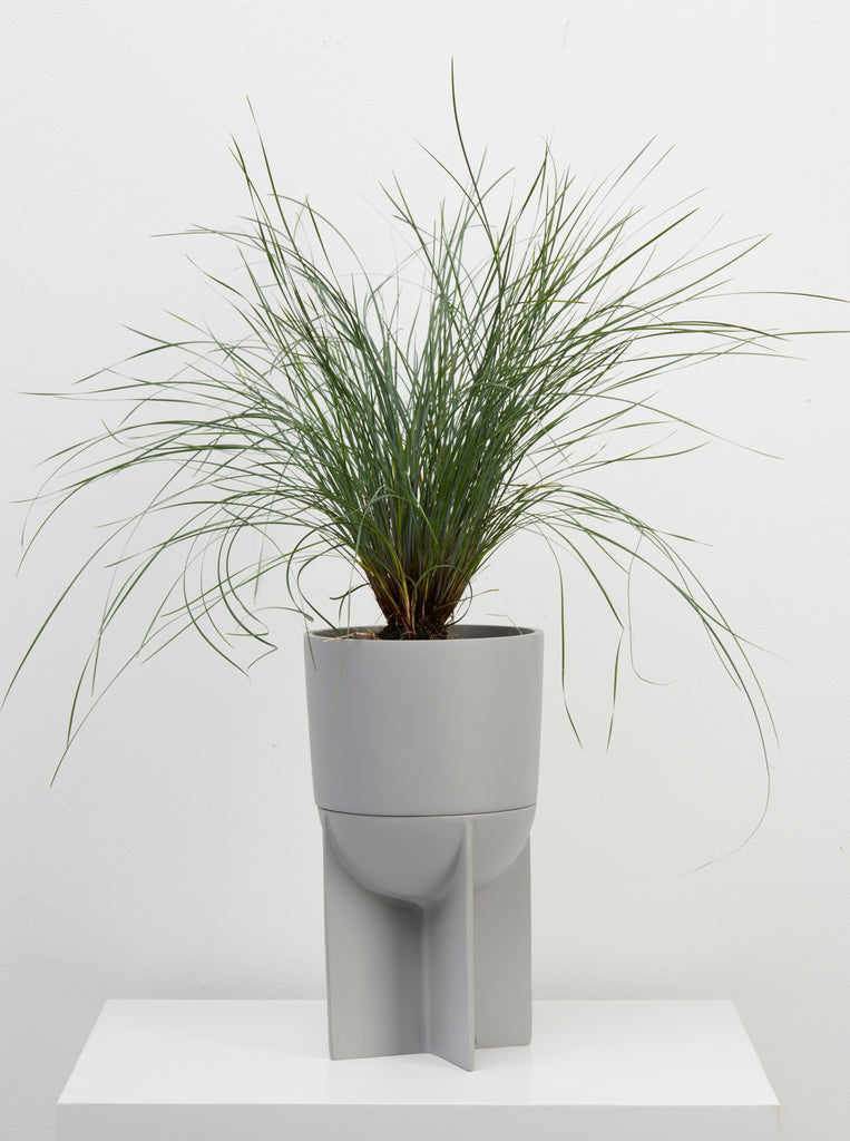 Eros Planter