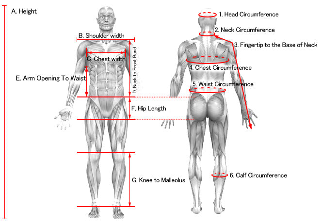 Body measurements chart