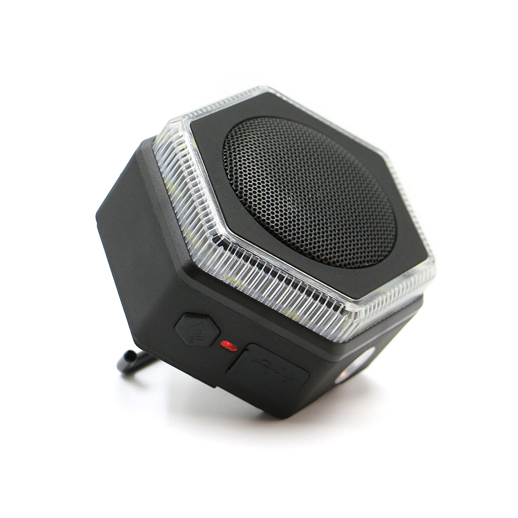 hybrid portable speaker