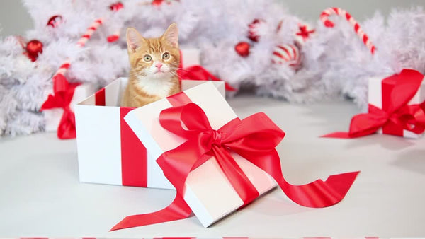 mascotas regalos de navidad
