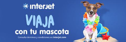 interjet-viajar-con-mascota