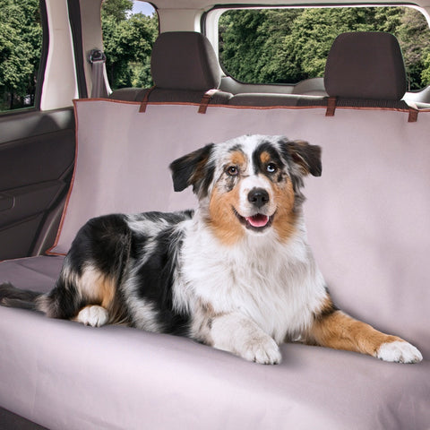 cubre asientos perro