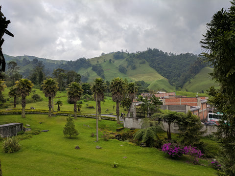 Descafecol Decaffeination Plant Manizales