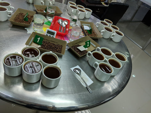 Coffee cupping