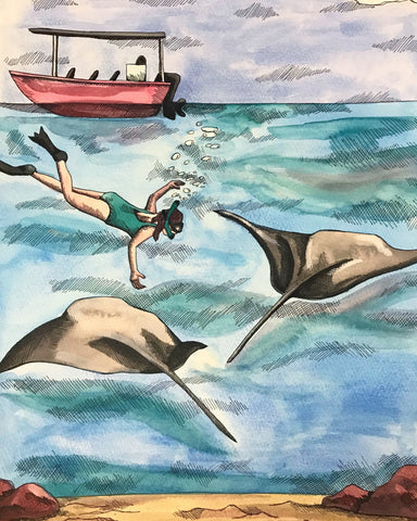 Snorkeling at Manta Point - Hand drawn by Chelsey Wilson