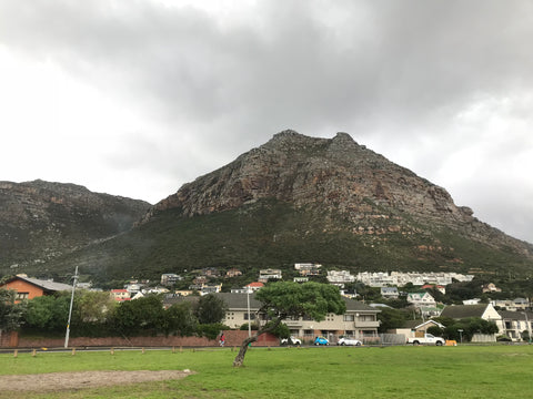 Muizenberg Peak from the vlei