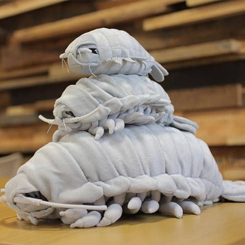 plush isopod