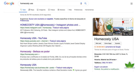 Google Homecosty USA