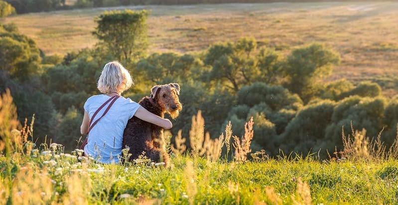 Lady and her Airedale on a hill