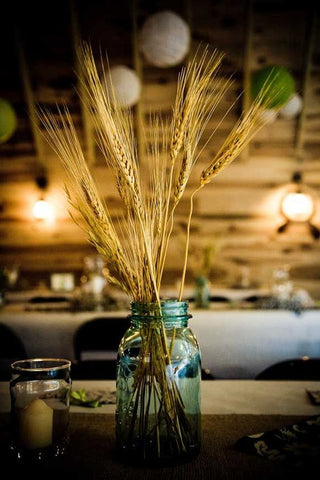 wheat plant stems in glass jar as a rustic centrepiece