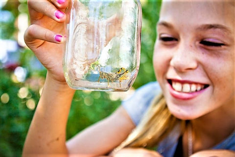 catching grasshoppers and other insects in jars with kids