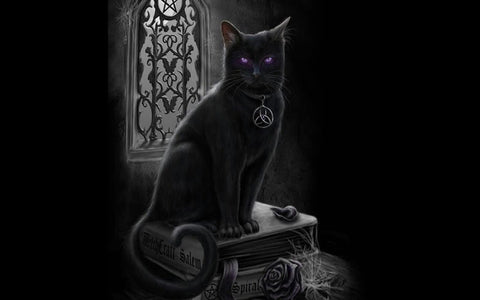 gothic black cat with pentagram necklace