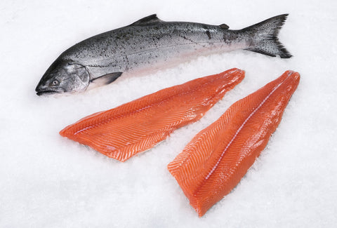 salmonfilet