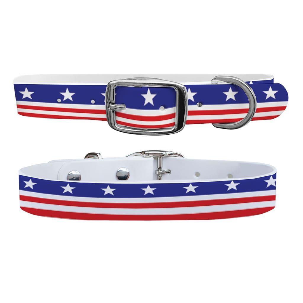 Americana Throwback Dog Collar Dog Collar mistylaurel BELTS