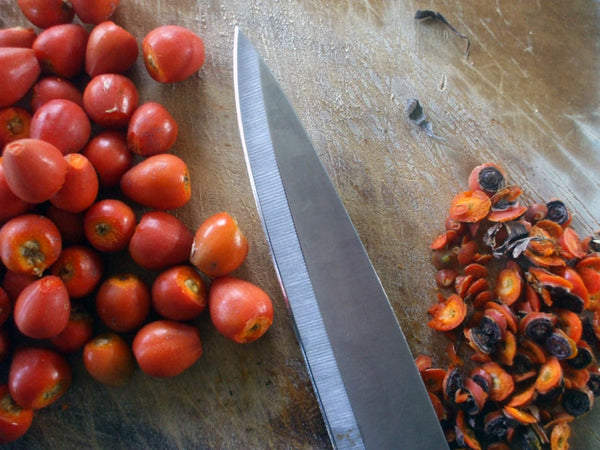 preparing fresh rosehips