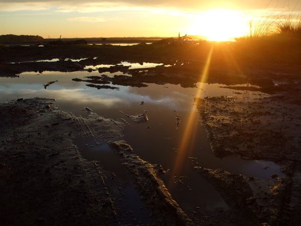 kuku beach sunset new zealand