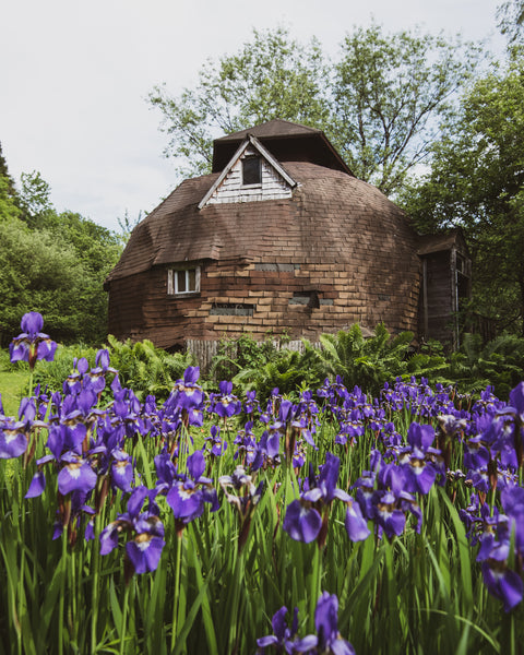 The dome I grew up in, now abandoned. I shot this photo in summer 2019.