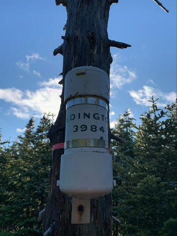 Mount Redington, summit canister, 2019