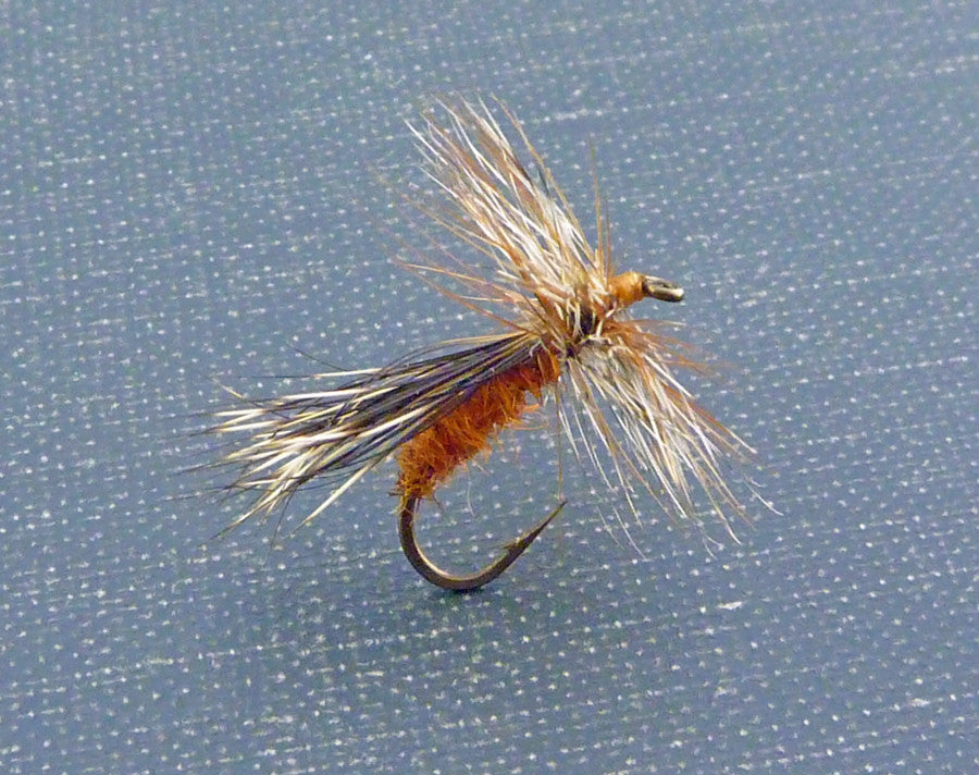 I've been liking this slightly odd caddis pattern. It's a