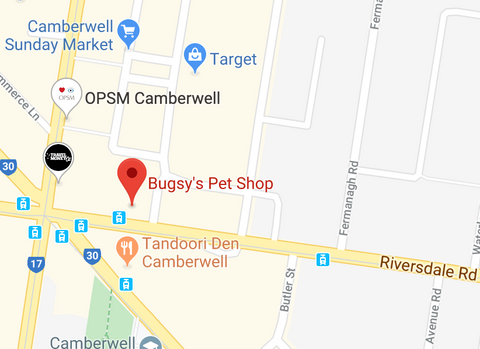 bugsy's pet supplies