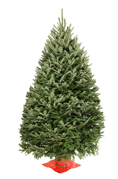 4 foot christmas tree