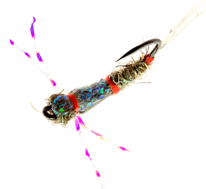 Tungsten Teardrop Sparkle Nymph by Barrie Duffie