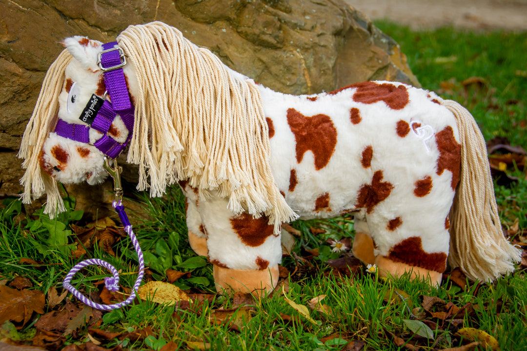 Zoek machine optimalisatie Leegte verlangen Crafty ponies halster paars – Crafty Ponies Shop