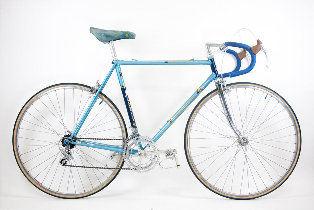 53cm Gazelle Champion Monidal for L'Eroica Britannia