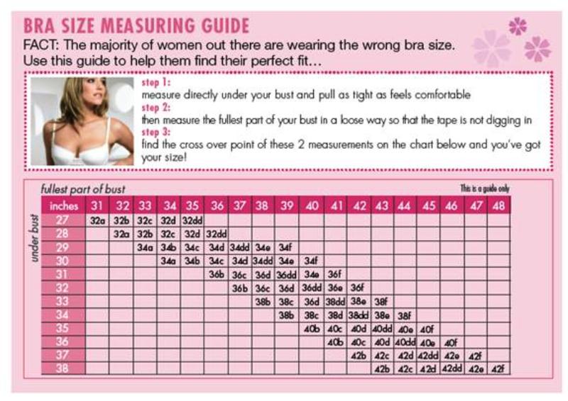 bras sizes chart