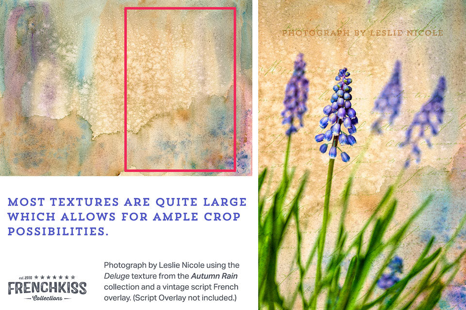 Example using a watercolor texture on a photograph of Muscari flowers.