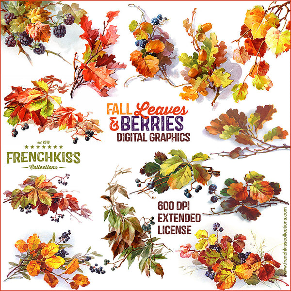 Fall Leaves and Berries digital vintage graphics extended license.