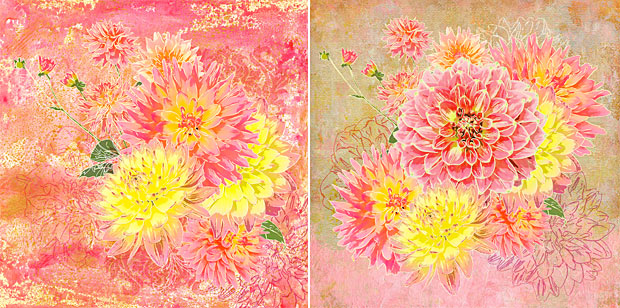 Two background versions of dahlia floral art using a painterly texture.