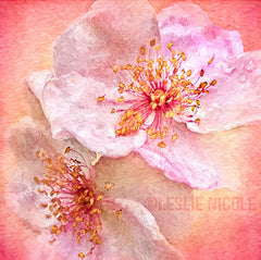 Rose photograph by Leslie Nicole with a texture and the Topaz Labs Impression filter.