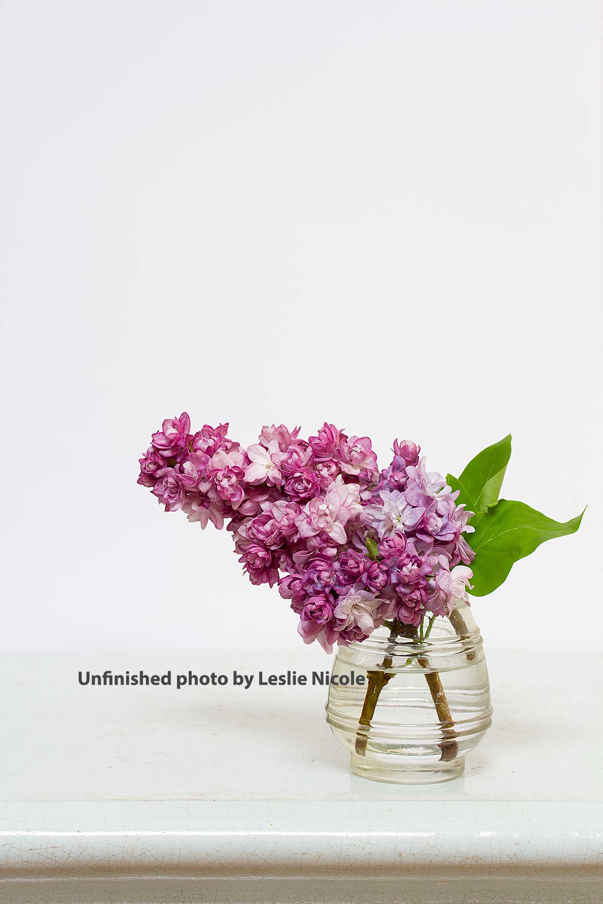 Original photo of Lilac floral before post-processing.