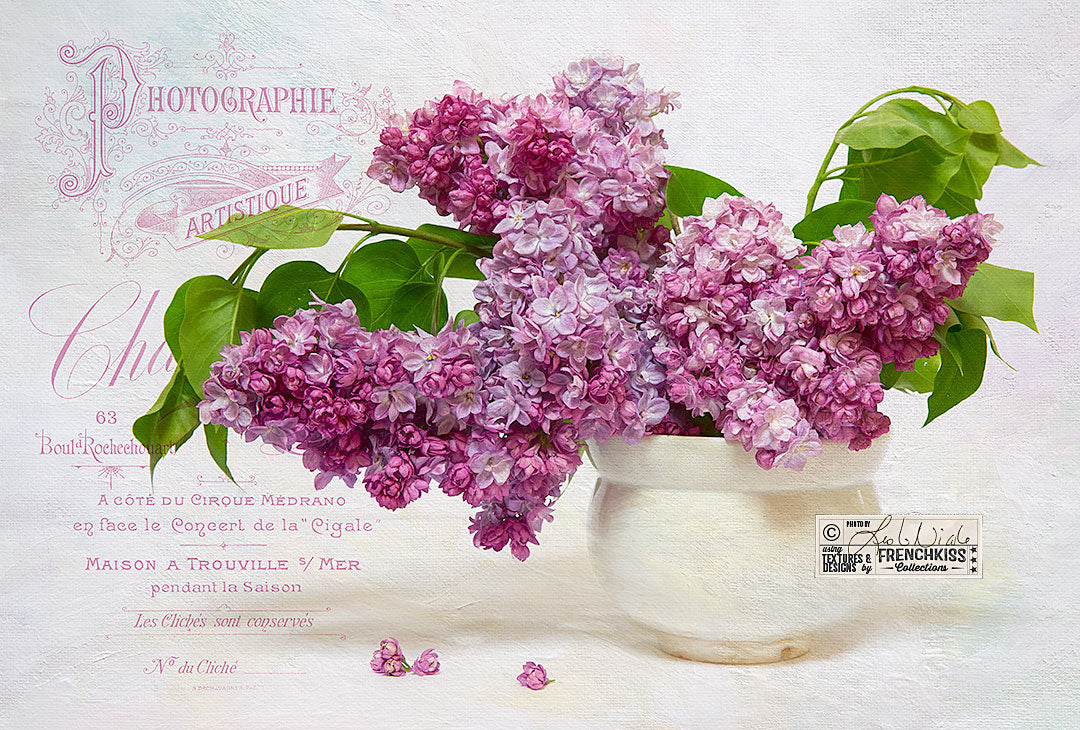 Lilac photograph by Leslie Nicole using French Kiss Collections texture and overlay.
