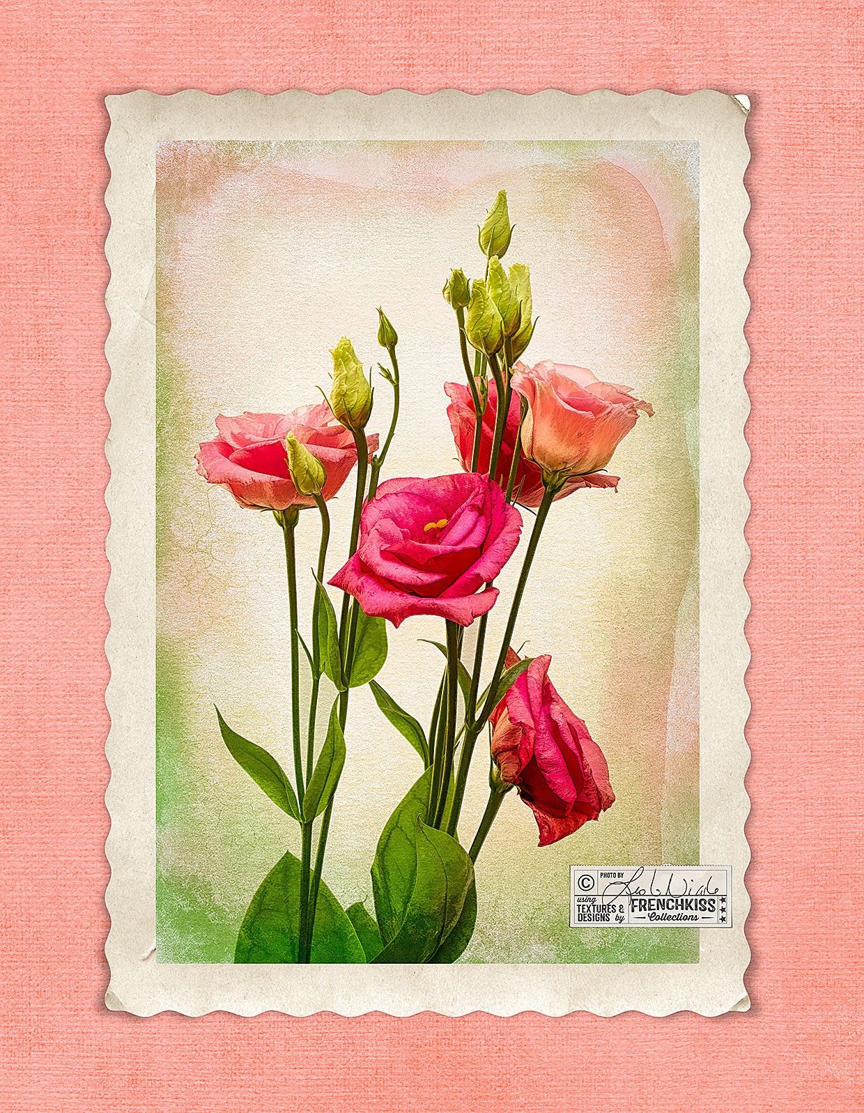 Lisianthus textured flower photograph with a digital vintage frame and texture background.