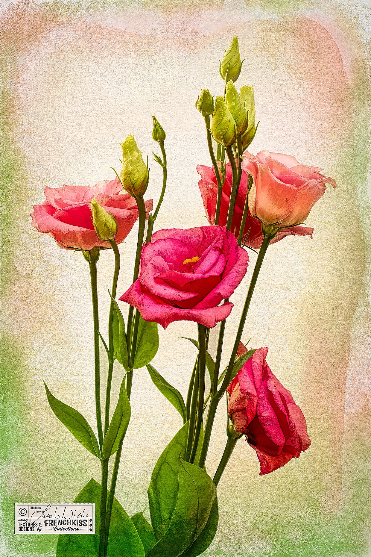 Lisianthus flowers photograph with textures and Topaz Labs filters for an artistic look.